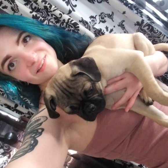 Meet your Posher, Cassandra - Picture 5 of 5